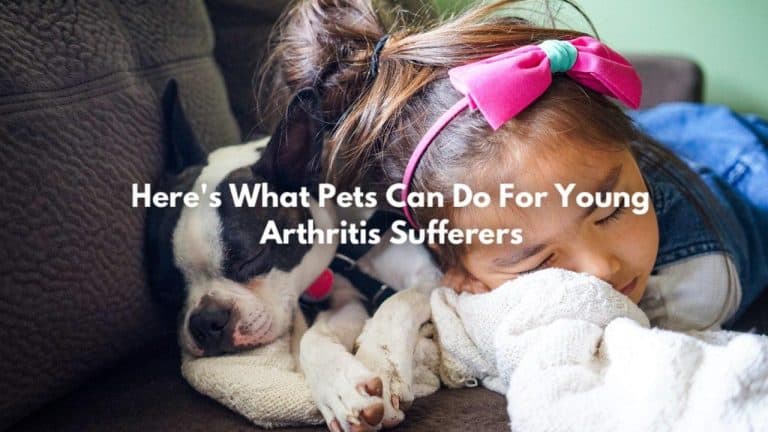 KIDS WITH ARTHRITIS COULD BENEFIT FROM HAVING A PET - Dr. Arthritis