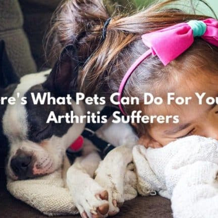 KIDS WITH ARTHRITIS COULD BENEFIT FROM HAVING A PET - Dr. Arthritis